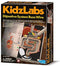 4M Kidz Labs Digestive System Buzz Wire (03386)
