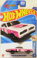 Hotwheels 74 brazilian dodge charger