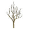 JTT HO-scale, Dry Tree, 3/pk, 3.5" - 4" Height (94122)