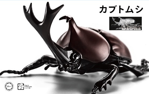 Fujimi Free Study 21 EX-1 Ikimono Hen Beetle Special Specification (Clear) (171043)