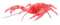 Fujimi Independent Study 24EX-4 Ikimono Hen American Crayfish Special Specification (Clear Red) (171050)