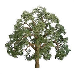 JTT Scenery 200mm Live Oak (92423)
