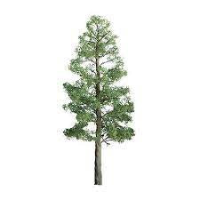 JTT HO Pine Trees Professional Series 3" Pkg (394293 )