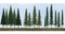JTT N/HO-Scale Super Scenic Evergreen Trees 2.5''-6'' Tall 45pk (92117)