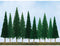JTT O-Scale Scenic Pine 6''-10'' 12pk (92004)