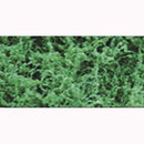 JTT Foliage Fiber Cluster, Dark Green - Coarse 150sq. in. (95059)