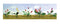 JTT Assorted Flower Plants 3, 1/2" Height (12) (95561)