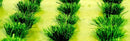JTT Scenery HO 0.95mm Detachable Grass Bushes - Green (30pk) (95580)