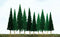 JTT HO-scale, Scenic Pine, 24/pk, 4" to 6" Height (92003)
