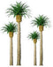 JTT HO-scale, Phoenix Palm, 4/pk, 2-1/2" Height (94382)