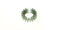 Kyosho 1st Gear (18T) (FM356-18L)