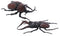 Fujimi Independent Study 25 Creatures Edition Stag Beetle vs Beetle Showdown Set (170862)