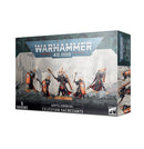 Warhammer 40,000: Adepta Sororitas: Celestian Sacresants (52-35)
