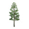 JTT Ho-Scale Pine Tree 4'' 2pk (94294)