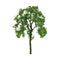 JTT HO-Scale Ash Tree 3'' 2pk (94425)