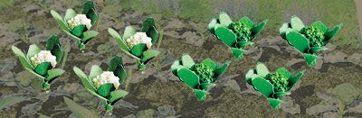 JTT 'HO' Broccoli and Cauliflowers 3/8" 20pk (95529)